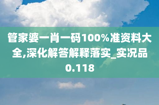 管家婆一肖一码100%准资料大全,深化解答解释落实_实况品0.118