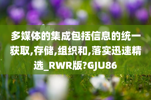 多媒体的集成包括信息的统一获取,存储,组织和,落实迅速精选_RWR版?GJU86