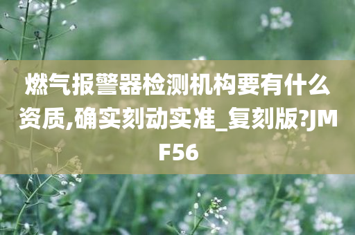 燃气报警器检测机构要有什么资质,确实刻动实准_复刻版?JMF56