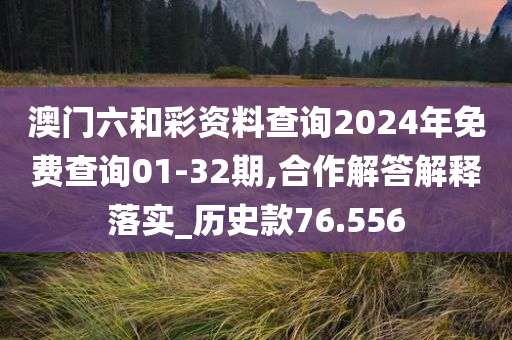 澳门六和彩资料查询2024年免费查询01-32期,合作解答解释落实_历史款76.556