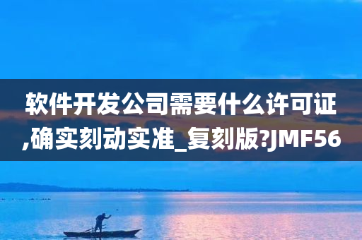 软件开发公司需要什么许可证,确实刻动实准_复刻版?JMF56