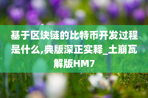 基于区块链的比特币开发过程是什么,典版深正实释_土崩瓦解版HM7