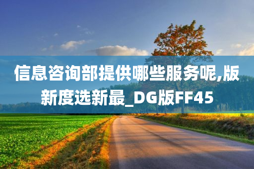 信息咨询部提供哪些服务呢,版新度选新最_DG版FF45