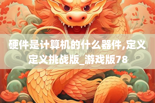 硬件是计算机的什么器件,定义定义挑战版_游戏版78