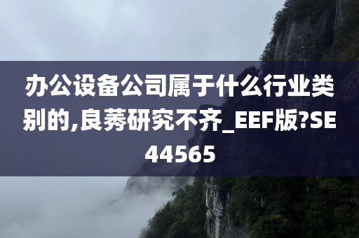 办公设备公司属于什么行业类别的,良莠研究不齐_EEF版?SE44565