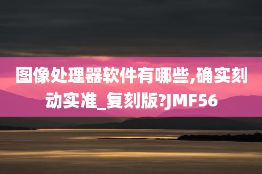 图像处理器软件有哪些,确实刻动实准_复刻版?JMF56