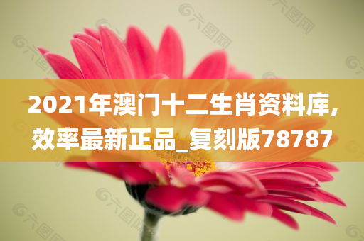 2021年澳门十二生肖资料库,效率最新正品_复刻版78787