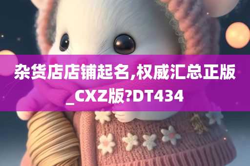 杂货店店铺起名,权威汇总正版_CXZ版?DT434