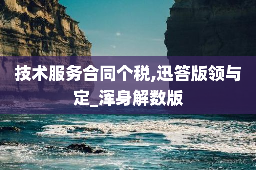 技术服务合同个税,迅答版领与定_浑身解数版