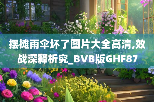 摆摊雨伞坏了图片大全高清,效战深释析究_BVB版GHF87