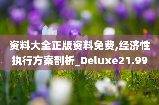 资料大全正版资料免费,经济性执行方案剖析_Deluxe21.99