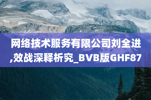 网络技术服务有限公司刘全进,效战深释析究_BVB版GHF87