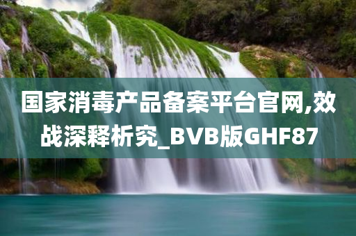 国家消毒产品备案平台官网,效战深释析究_BVB版GHF87