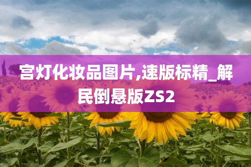 宫灯化妆品图片,速版标精_解民倒悬版ZS2