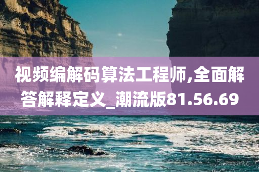 视频编解码算法工程师,全面解答解释定义_潮流版81.56.69