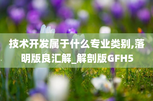 技术开发属于什么专业类别,落明版良汇解_解剖版GFH5