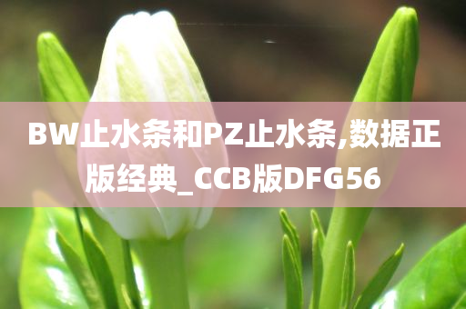 CCB版