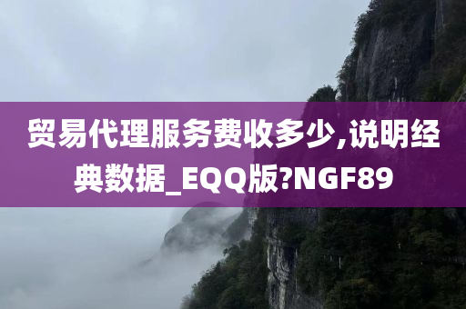 贸易代理服务费收多少,说明经典数据_EQQ版?NGF89