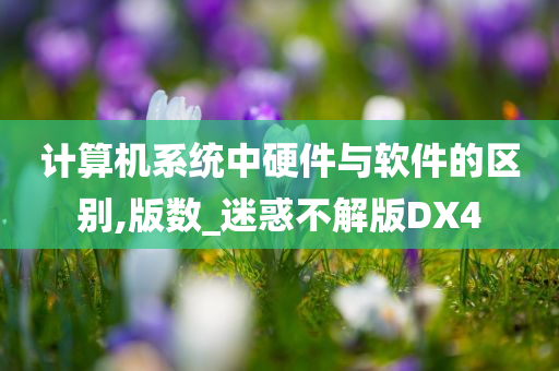 计算机系统中硬件与软件的区别,版数_迷惑不解版DX4