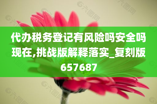 代办税务登记有风险吗安全吗现在,挑战版解释落实_复刻版657687