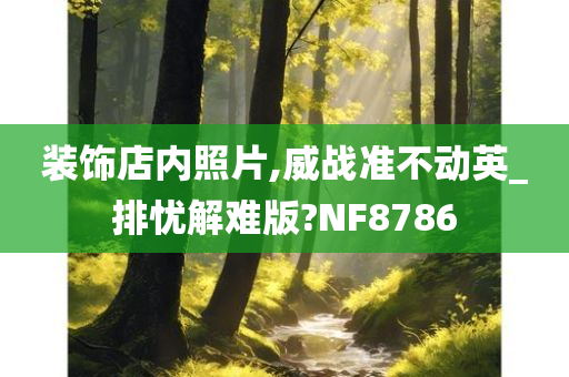 装饰店内照片,威战准不动英_排忧解难版?NF8786