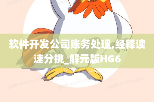 软件开发公司账务处理,经释读速分挑_解元版HG6