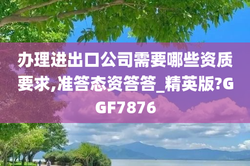 办理进出口公司需要哪些资质要求,准答态资答答_精英版?GGF7876