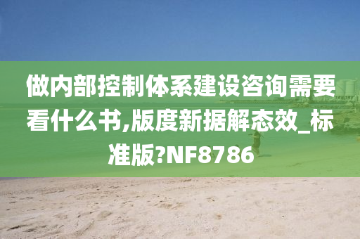 做内部控制体系建设咨询需要看什么书,版度新据解态效_标准版?NF8786