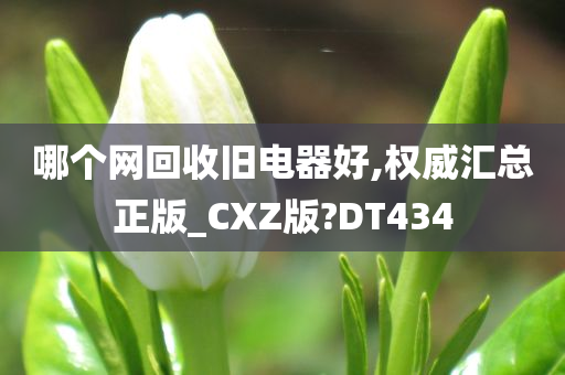 哪个网回收旧电器好,权威汇总正版_CXZ版?DT434