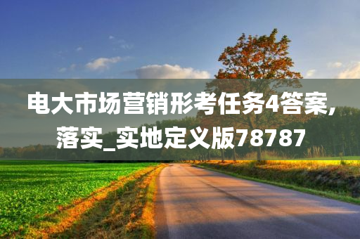 电大市场营销形考任务4答案,落实_实地定义版78787