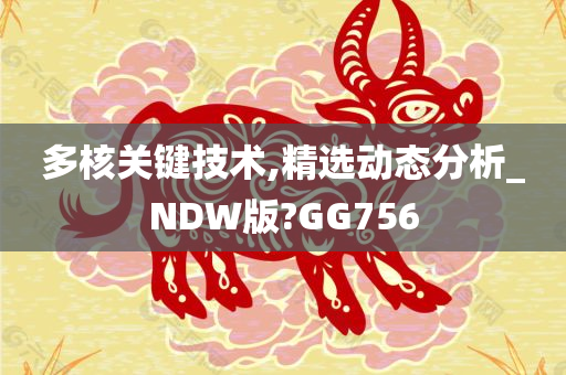 多核关键技术,精选动态分析_NDW版?GG756