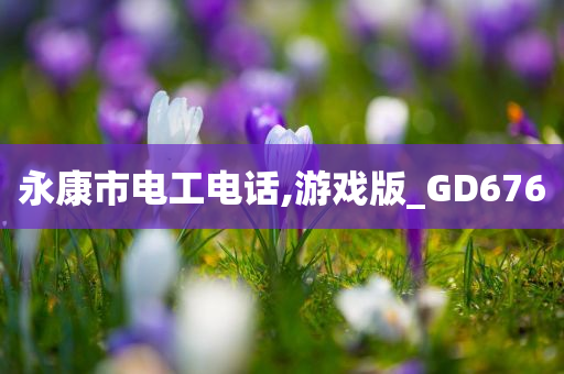 永康市电工电话,游戏版_GD676