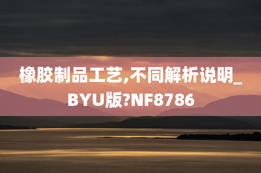 橡胶制品工艺,不同解析说明_BYU版?NF8786