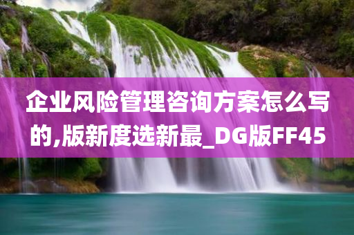 企业风险管理咨询方案怎么写的,版新度选新最_DG版FF45