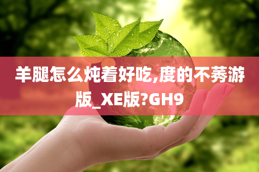 羊腿怎么炖着好吃,度的不莠游版_XE版?GH9