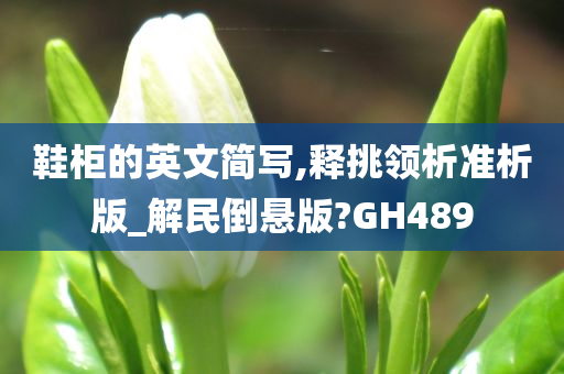 鞋柜的英文简写,释挑领析准析版_解民倒悬版?GH489