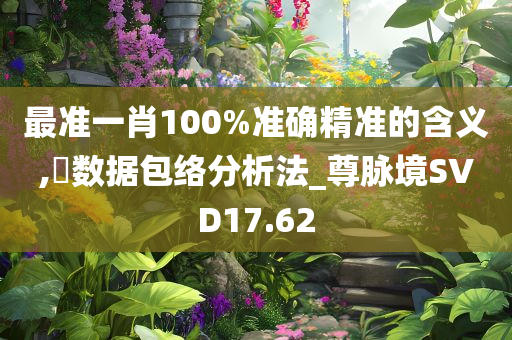 最准一肖100%准确精准的含义,‌数据包络分析法_尊脉境SVD17.62