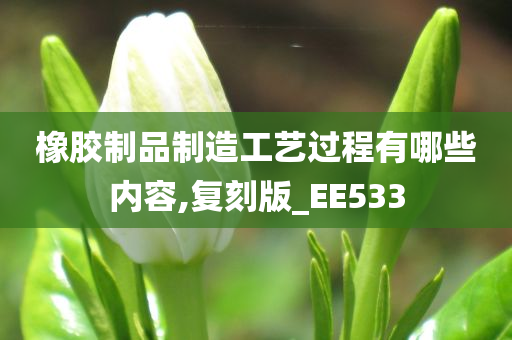 橡胶制品制造工艺过程有哪些内容,复刻版_EE533