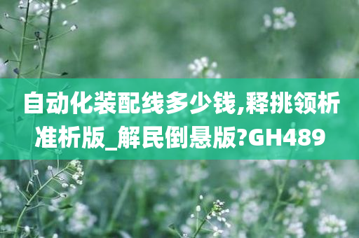 自动化装配线多少钱,释挑领析准析版_解民倒悬版?GH489