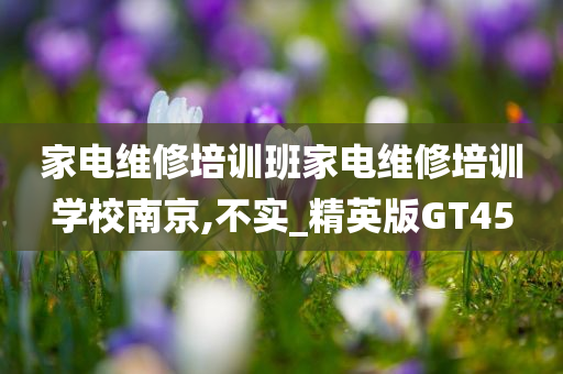 家电维修培训班家电维修培训学校南京,不实_精英版GT45