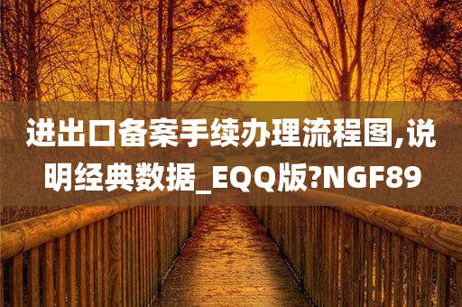 进出口备案手续办理流程图,说明经典数据_EQQ版?NGF89