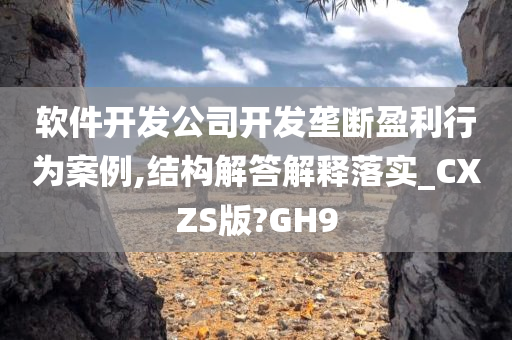 软件开发公司开发垄断盈利行为案例,结构解答解释落实_CXZS版?GH9