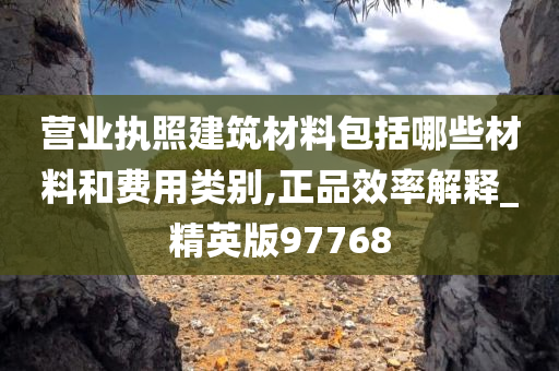 营业执照建筑材料包括哪些材料和费用类别,正品效率解释_精英版97768