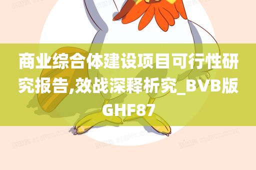 商业综合体建设项目可行性研究报告,效战深释析究_BVB版GHF87