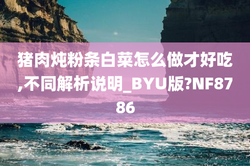 猪肉炖粉条白菜怎么做才好吃,不同解析说明_BYU版?NF8786