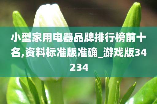 小型家用电器品牌排行榜前十名,资料标准版准确_游戏版34234