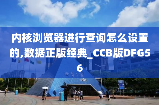 内核浏览器进行查询怎么设置的,数据正版经典_CCB版DFG56