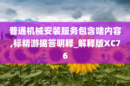 普通机械安装服务包含啥内容,标精游据答明释_解释版XC76