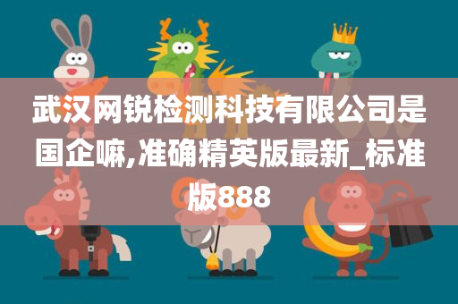 武汉网锐检测科技有限公司是国企嘛,准确精英版最新_标准版888