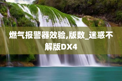 燃气报警器效验,版数_迷惑不解版DX4